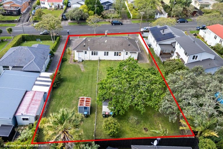 Photo of property in 50 Walmer Road, Point Chevalier, Auckland, 1022