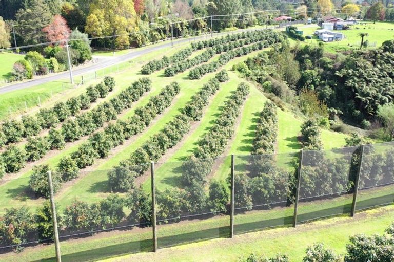 Photo of property in 14 Merrick Road, Pyes Pa, Tauranga, 3173