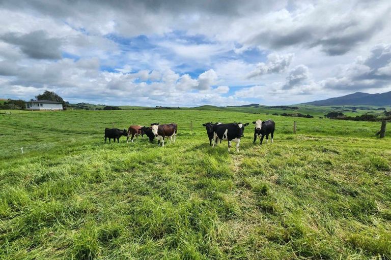 Photo of property in 697 Maungatawhiri Road, Raglan, 3295