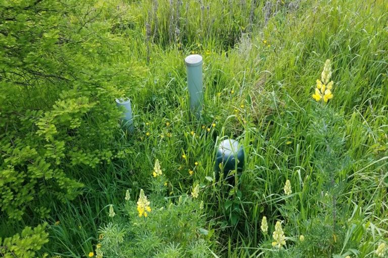 Photo of property in 15 Tenby Street, Moeraki, Palmerston, 9482