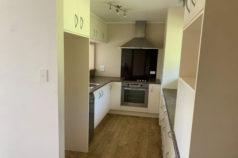 Photo of property in Kaiwaka-mangawhai Road, Mangawhai, 0573