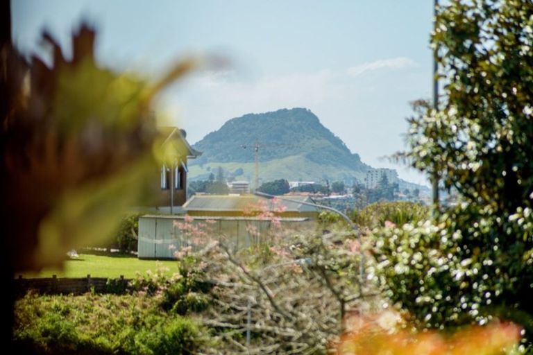 Photo of property in 2 Haukore Street, Hairini, Tauranga, 3112