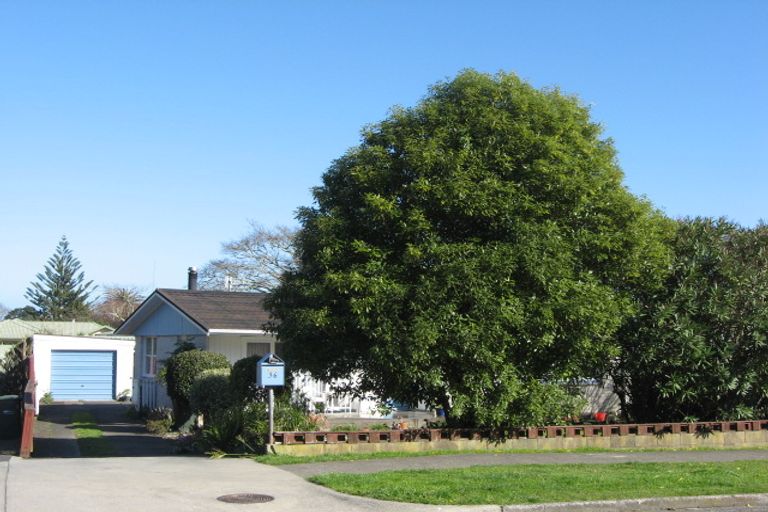 Photo of property in 36 Douglas Street, Whakatane, 3120