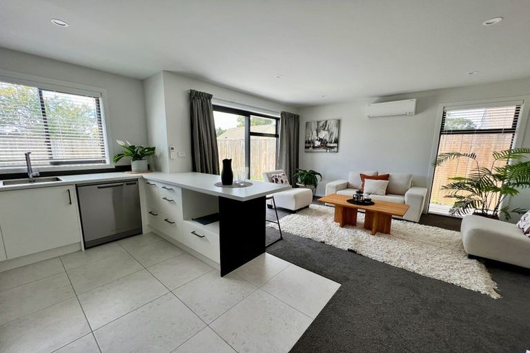 Photo of property in 1136b Heaphy Terrace, Fairfield, Hamilton, 3214