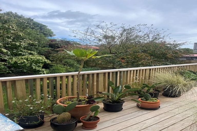 Photo of property in 136 Russell Terrace, Berhampore, Wellington, 6023