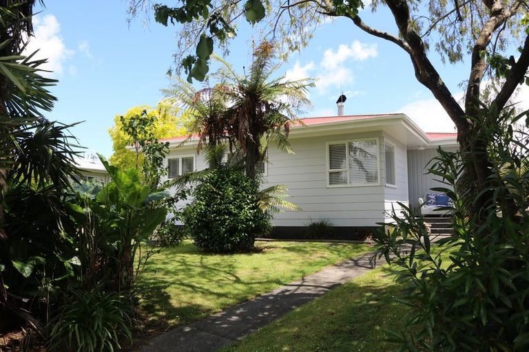 Photo of property in 179 Colgan Street, Te Awamutu, 3800