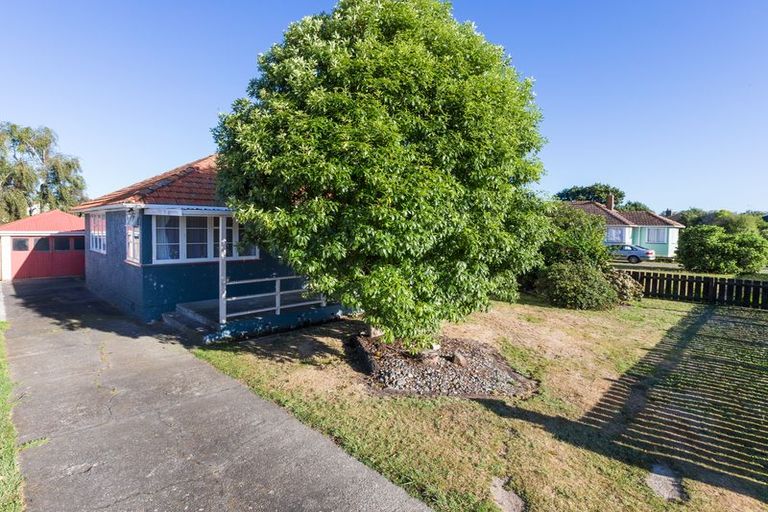 Photo of property in 25 Andrew Avenue, Roslyn, Palmerston North, 4414