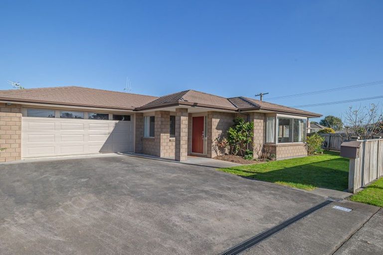 Photo of property in 45 Chester Street, Levin, 5510