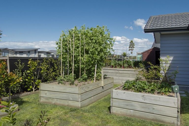 Photo of property in 58 Te Wharo Drive, Papamoa, 3118