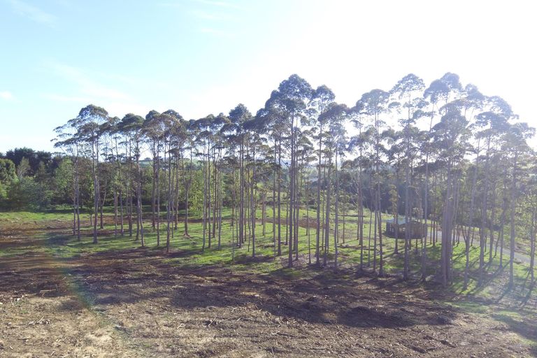 Photo of property in 59 Harbour View Rise, Mangonui, 0494