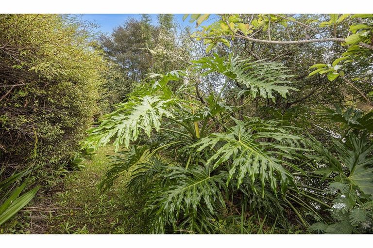 Photo of property in 56 Colville Road, Dargaville, 0310