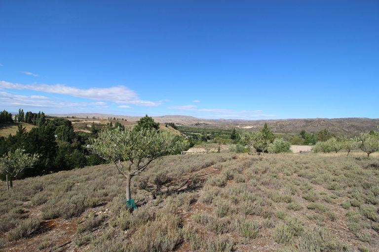 Photo of property in 85a Letts Gully Road, Letts Gully, Alexandra, 9393