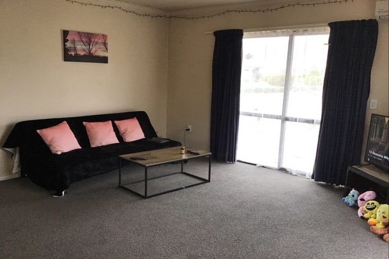 Photo of property in 2b Pyke Court, Cromwell, 9310