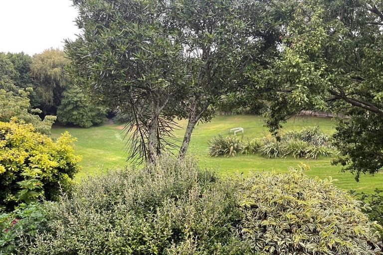 Photo of property in 46 Rowesdale Drive, Ohauiti, Tauranga, 3112