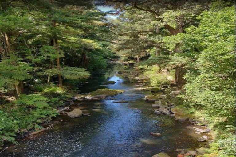 Photo of property in 19 Bush Haven Drive, Te Kamo, Whangarei, 0112