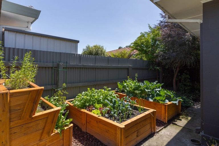 Photo of property in 61a Muller Road, Blenheim, 7201