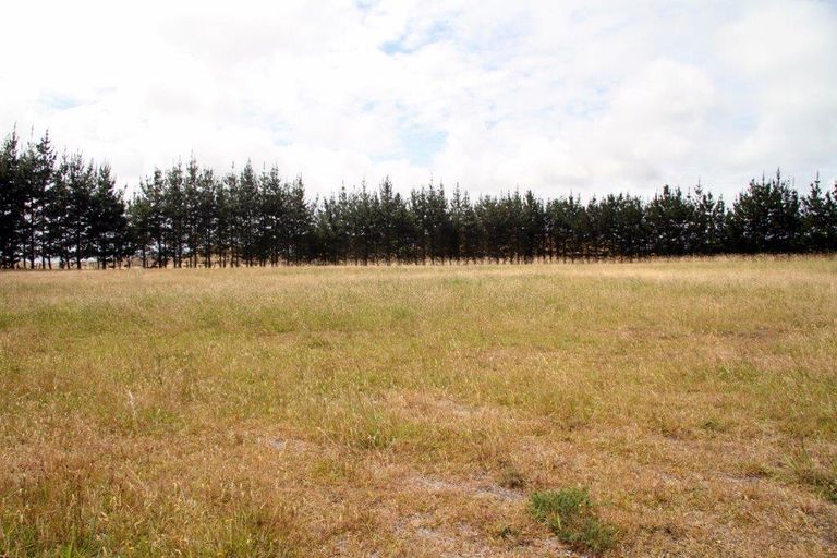 Photo of property in 41 Mcmanus Road, Houhora, Kaitaia, 0484
