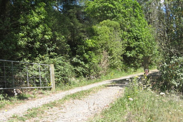 Photo of property in 365 Woodland Road, Tahawai, Katikati, 3170