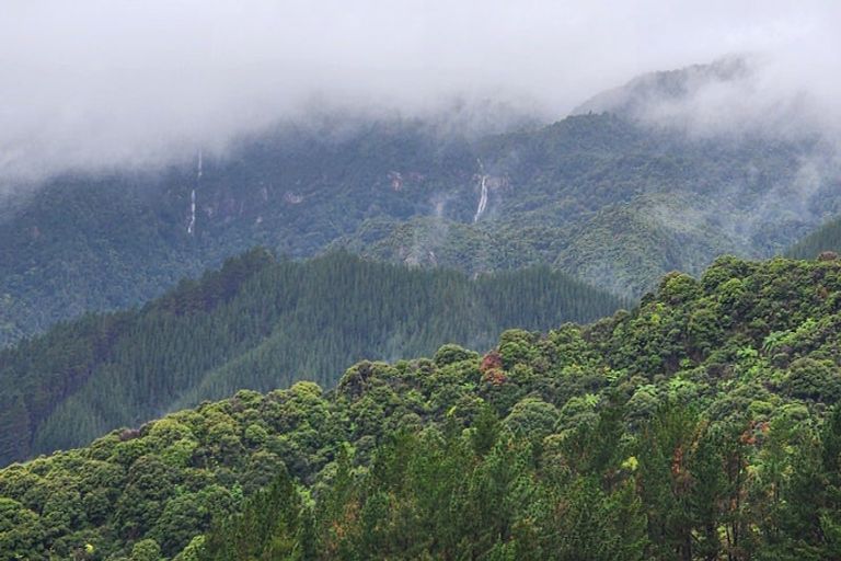 Photo of property in 1830 Colville Road, Amodeo Bay, Coromandel, 3584