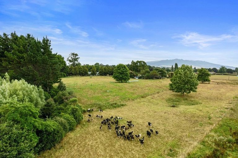 Photo of property in 22 Bowman Road, Te Awamutu, 3876