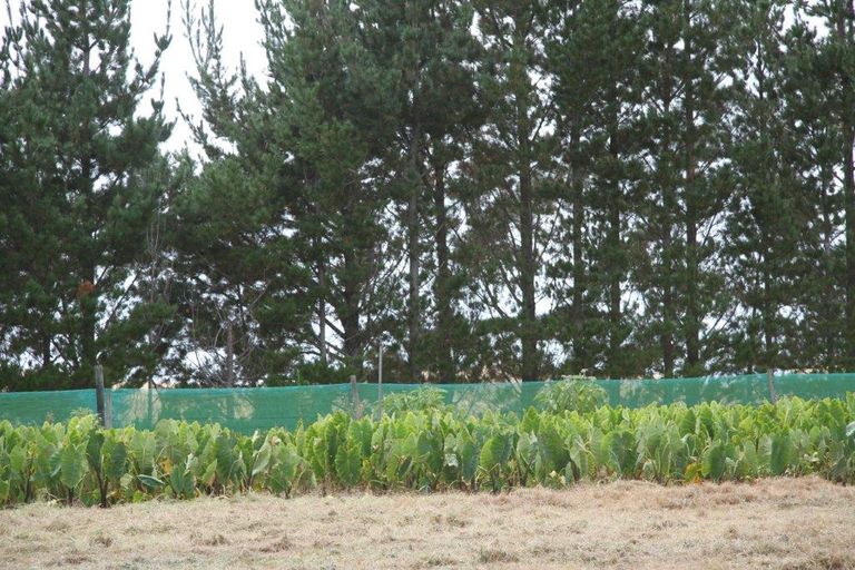 Photo of property in 41 Mcmanus Road, Houhora, Kaitaia, 0484