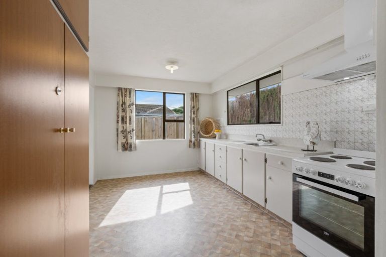 Photo of property in 47 Litchfield Street, Redwoodtown, Blenheim, 7201