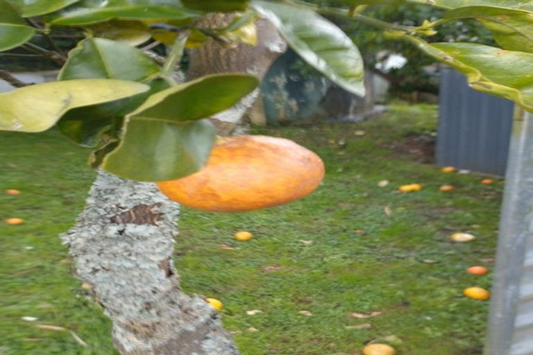 Photo of property in 109 Vinegar Hill Road, Kauri, Kamo, 0185