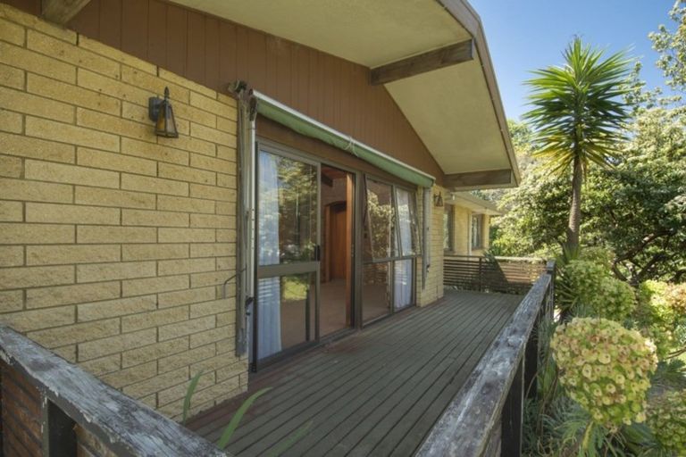 Photo of property in 109a Park Road, Katikati, 3129