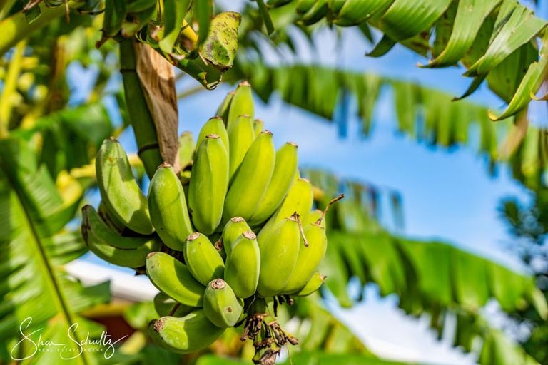 Photo of property in 7 Te Opi Road East, Whakapirau, Maungaturoto, 0583