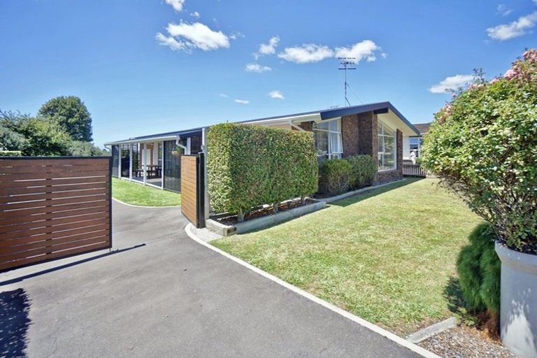 Photo of property in 58 Boucher Avenue, Te Puke, 3119