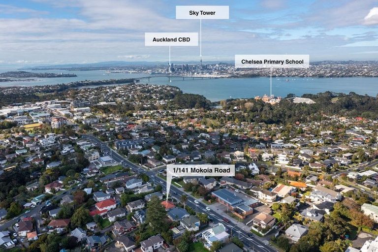 Photo of property in 1/141 Mokoia Road, Birkenhead, Auckland, 0626