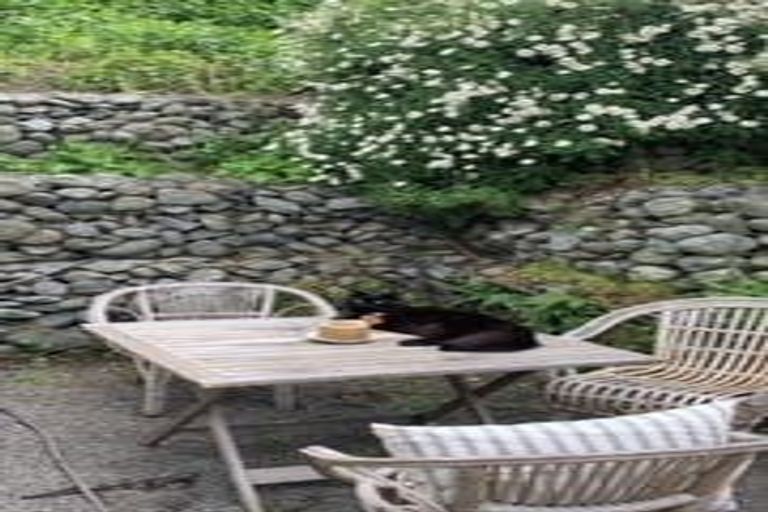 Photo of property in 78 Cressy Terrace, Lyttelton, 8082