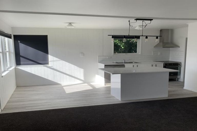 Photo of property in 55 Larnoch Road, Henderson, Auckland, 0610