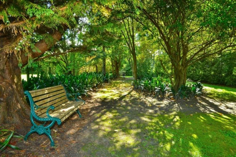 Photo of property in 555 Back Ormond Road, Makauri, Gisborne, 4071