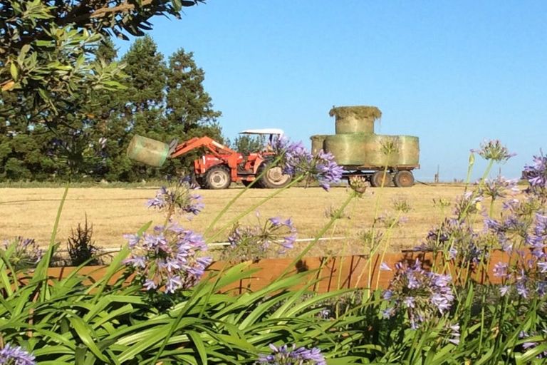 Photo of property in 125 Davis Road, Waiongana, Inglewood, 4389