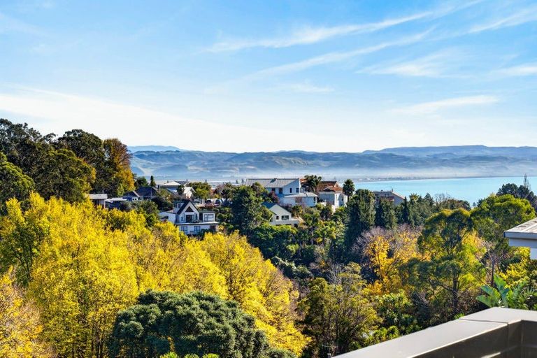 Photo of property in 8 Selwyn Road, Hospital Hill, Napier, 4110