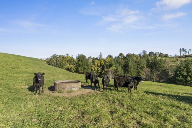 Photo of property in 320 Morgan Road, Matamata, 3472