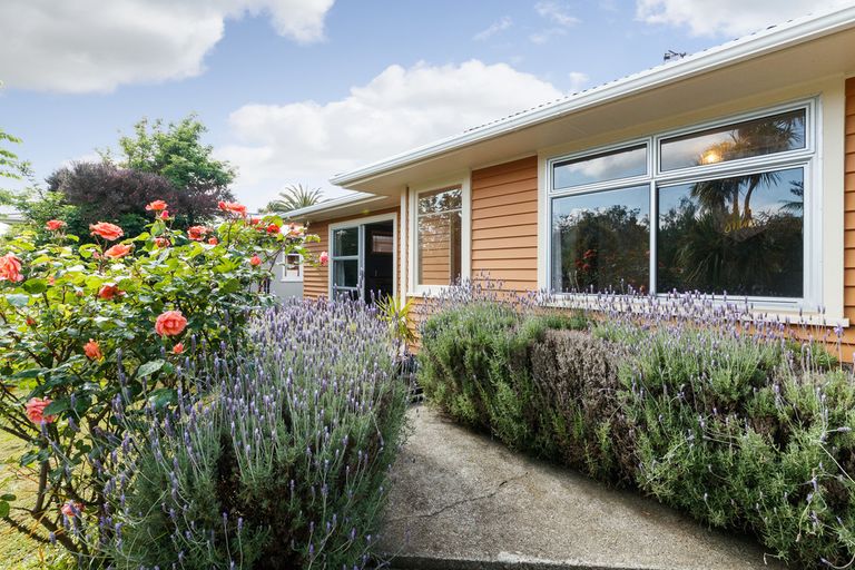 Photo of property in 23 Winchester Street, Awapuni, Palmerston North, 4412