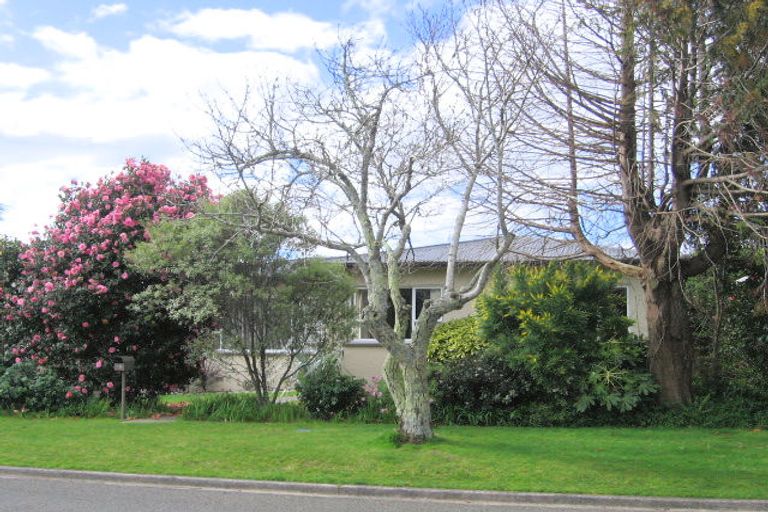 Photo of property in 15 Tyrone Street, Greerton, Tauranga, 3112