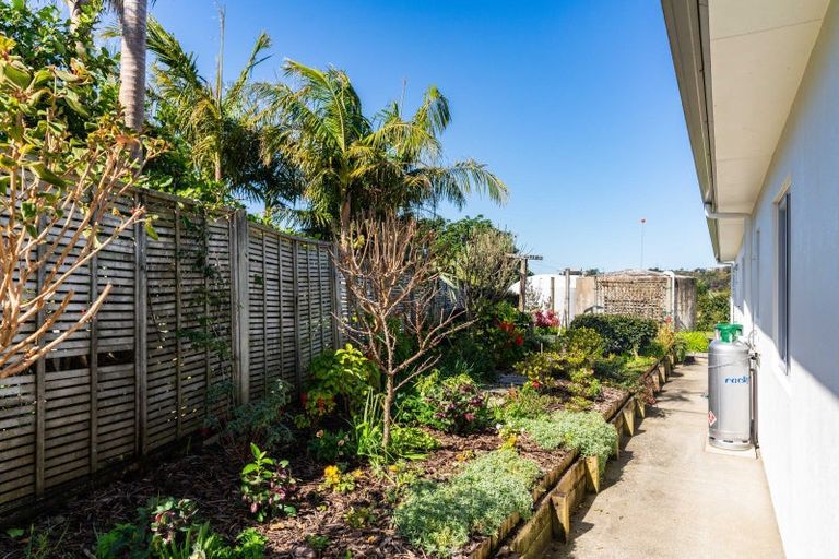 Photo of property in 194 Thelma Road, Mangawhai Heads, Mangawhai, 0505