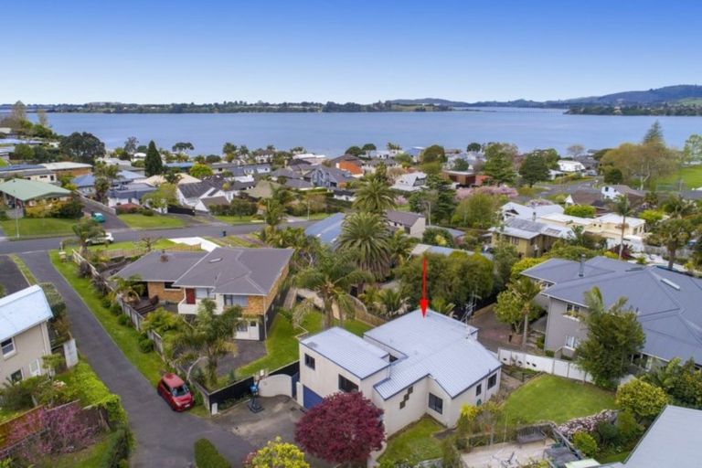 Photo of property in 50b Harvey Street, Tauranga South, Tauranga, 3112