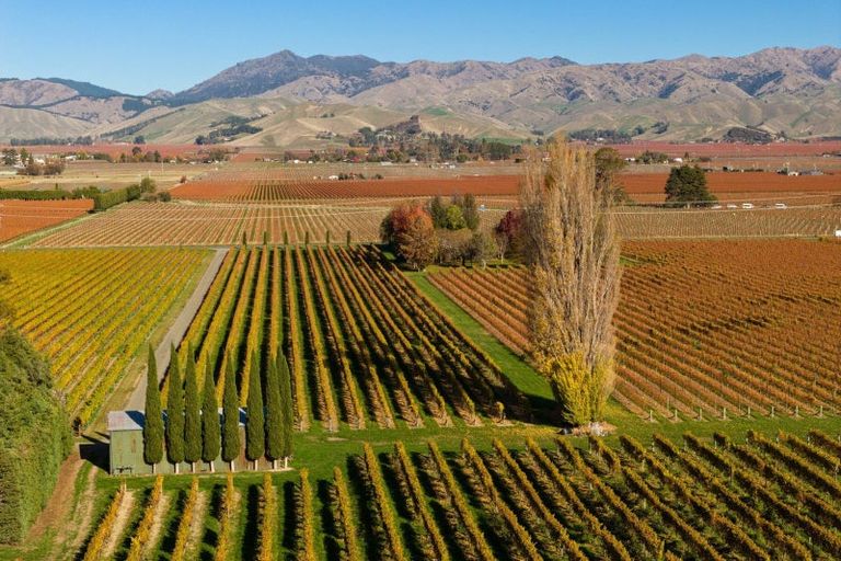 Photo of property in 322 Middle Renwick Road, Springlands, Blenheim, 7271