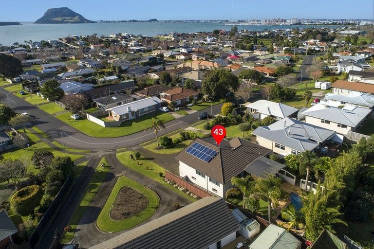 Photo of property in 43 Freyberg Street, Otumoetai, Tauranga, 3110