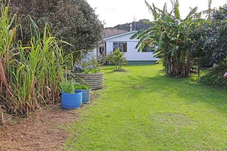 Photo of property in 555 Leigh Road, Whangateau, Warkworth, 0985