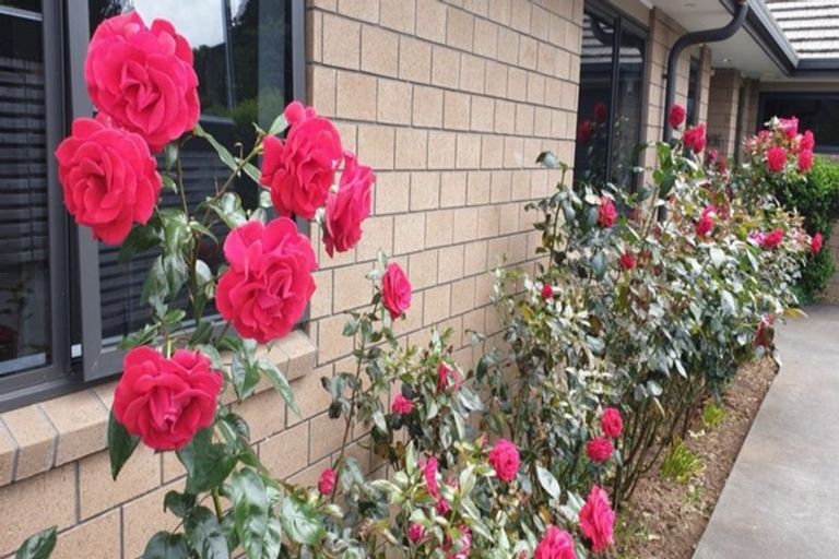 Photo of property in 550 Mangorei Road, Mangorei, New Plymouth, 4371