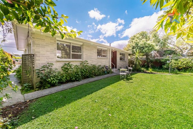 Photo of property in 8a Copeland Street, Hutt Central, Lower Hutt, 5011