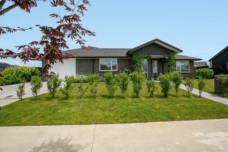 Photo of property in 21 Terry Came Drive, Cambridge, 3434