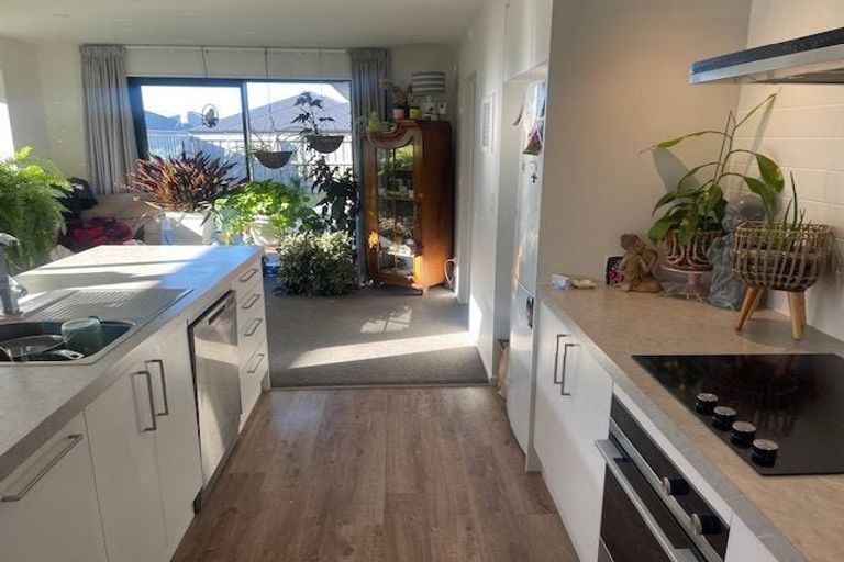 Photo of property in 48 Quinn Crescent, Woodend, 7610