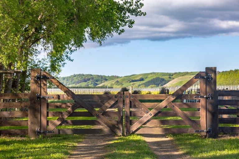 Photo of property in 138 Dakins Road, East Taratahi, Carterton, 5887