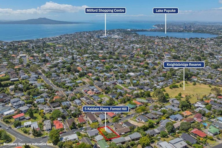 Photo of property in 1/5 Keldale Place, Forrest Hill, Auckland, 0620